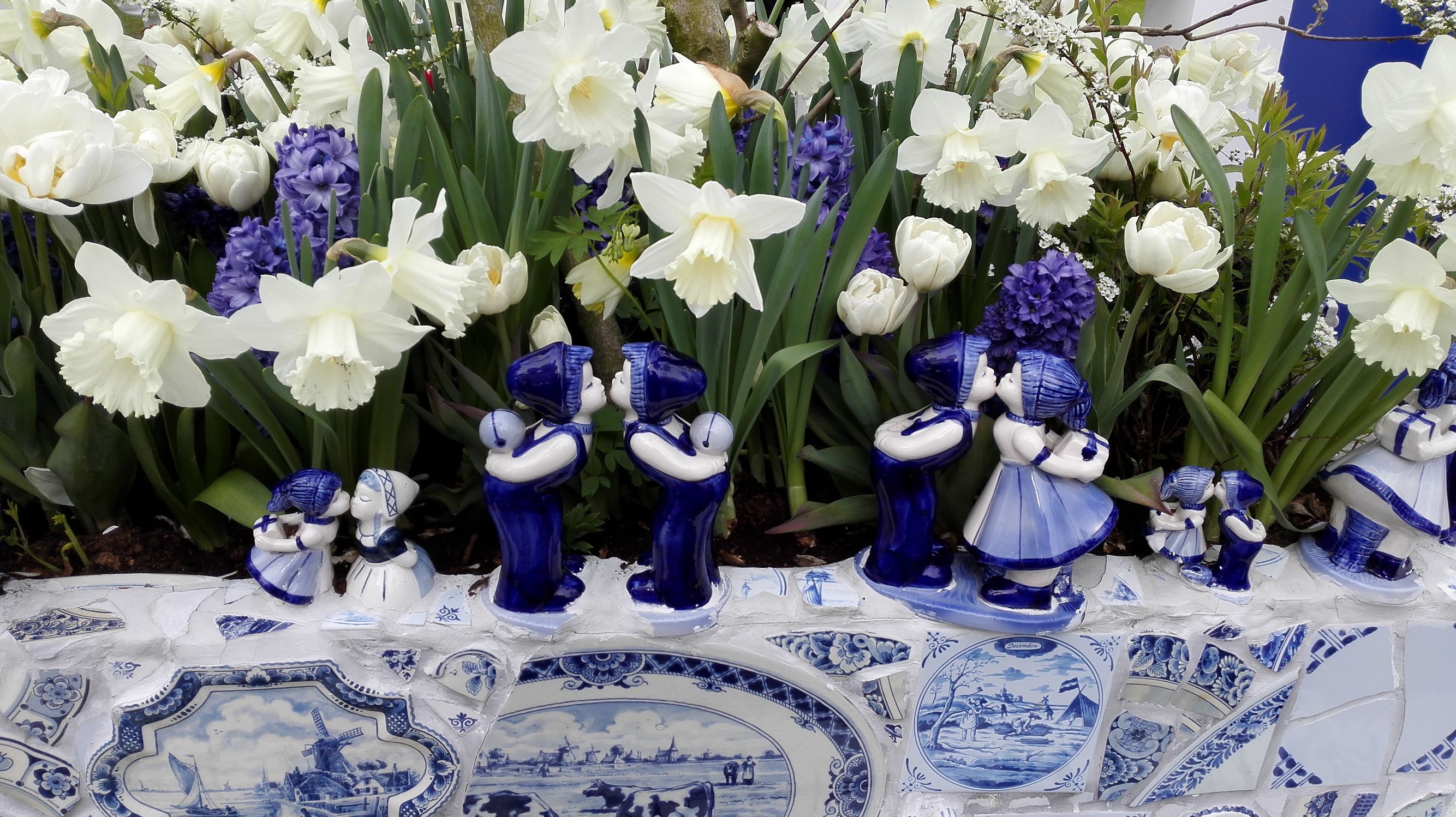 荷兰奶粉哪款最好,八一八中华老字号