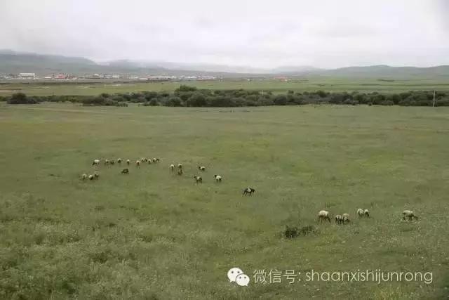 我的夜晚比你的白天更美,白天和夜晚儿歌