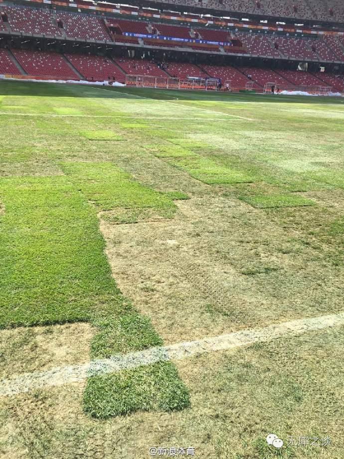 鸟巢足球场草坪是真草吗,鸟巢球场草皮