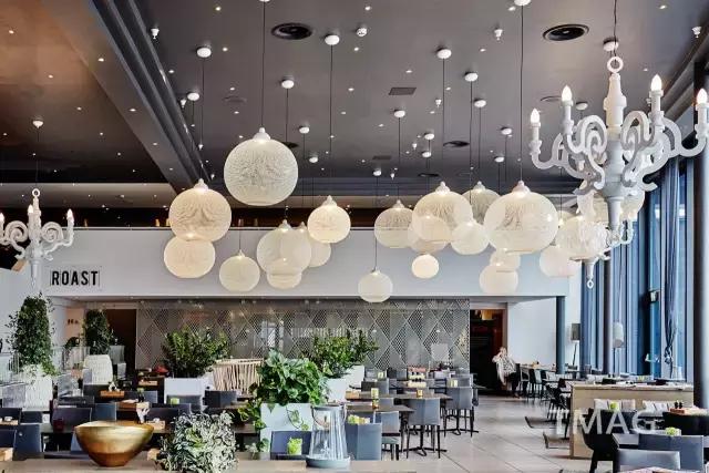 北欧看鲸鱼极光,看极光追逐鲸鱼