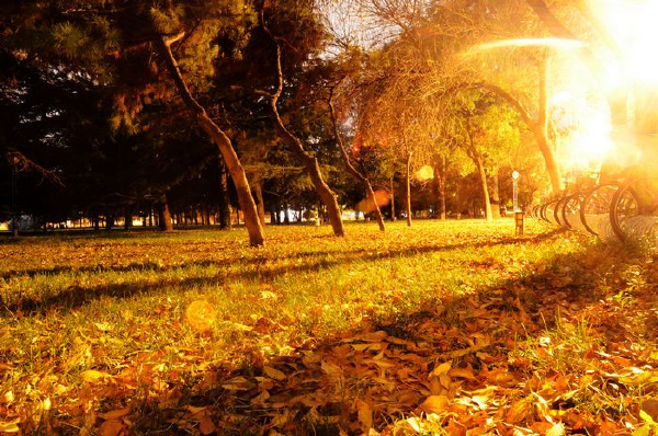 要想成为学习高手就要学什么,想成为高手该练几指操作