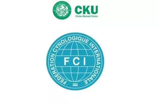 血统证书怎么查询真伪,血统证书手续应该哪方办理