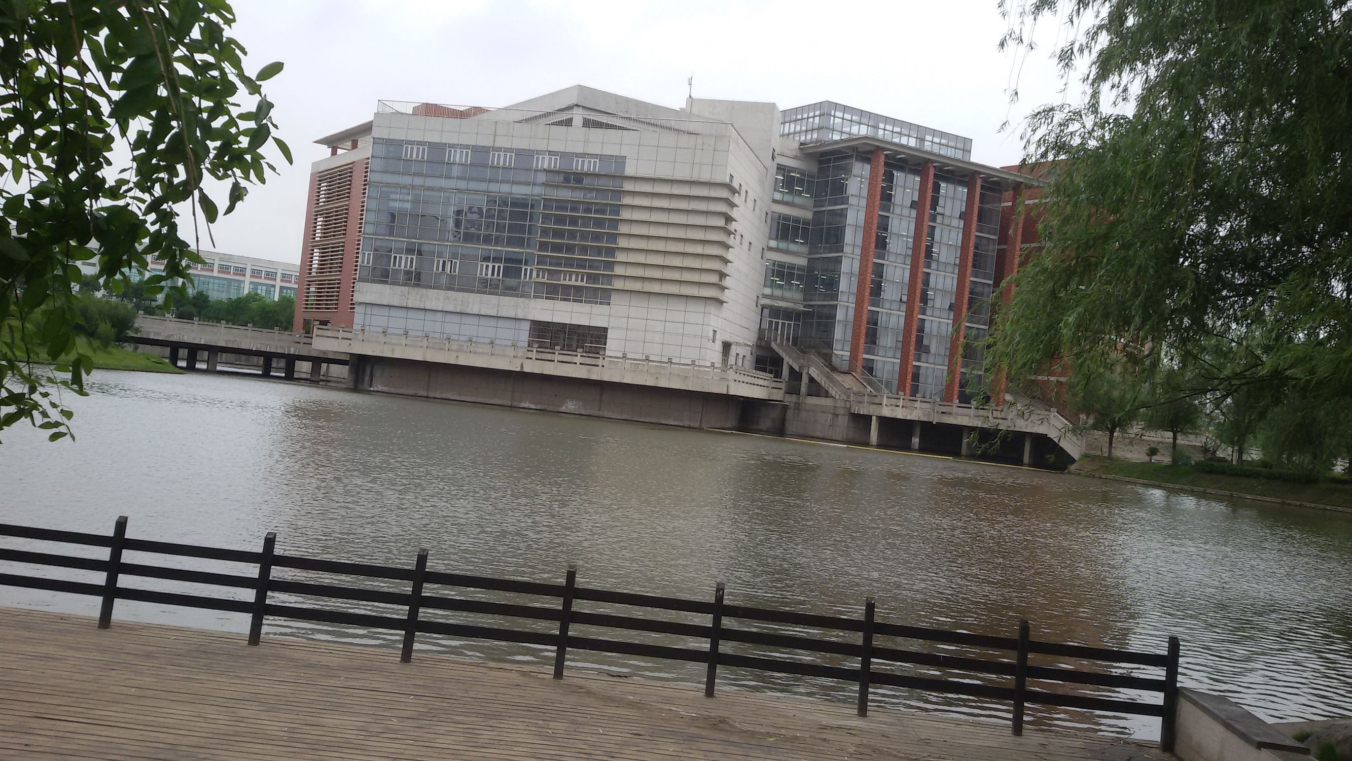 武汉商学院友情,武汉商学院玫瑰花