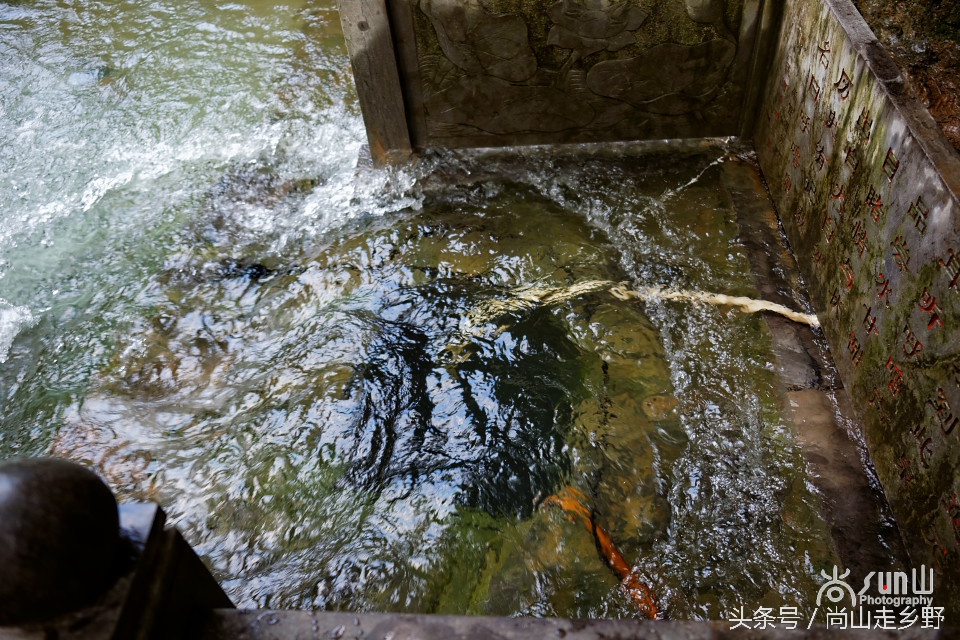 济南一处会打呼噜的泉,现鼾声正响,欢畅入耳,让人赞叹!