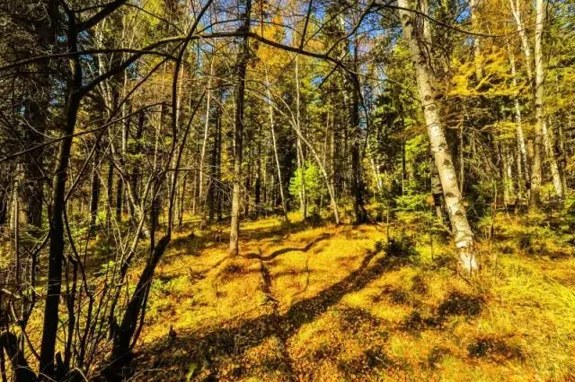 比东南亚划算还免签,只要1W,就能到俄国最美的贝加尔湖!