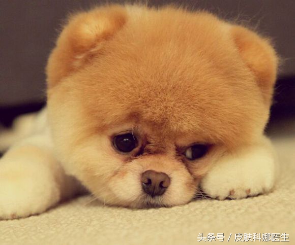 上眼皮神经性皮炎痒怎么办,两个眼皮痒是神经性皮炎吗