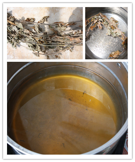 夏天用艾叶给宝宝洗澡能去痱子吗,婴儿长痱子可以用艾叶洗澡吗