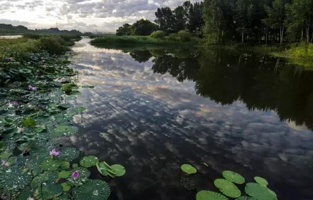 你心中的哈尔滨是什么样的,哈尔滨是个什么样的地方