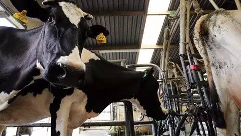 我国企业有被外国企业收购过吗,中国企业收购了国外超市品牌