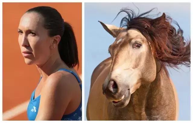 网络十二生肖搞笑,足球运动员十二生肖