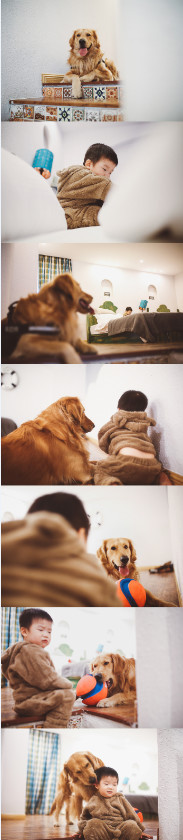 如果你能陪狗狗度过一生，你能不能这样？