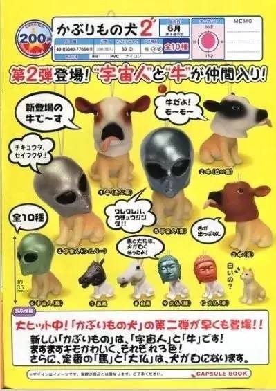 萌物东西推荐,什么萌物好看