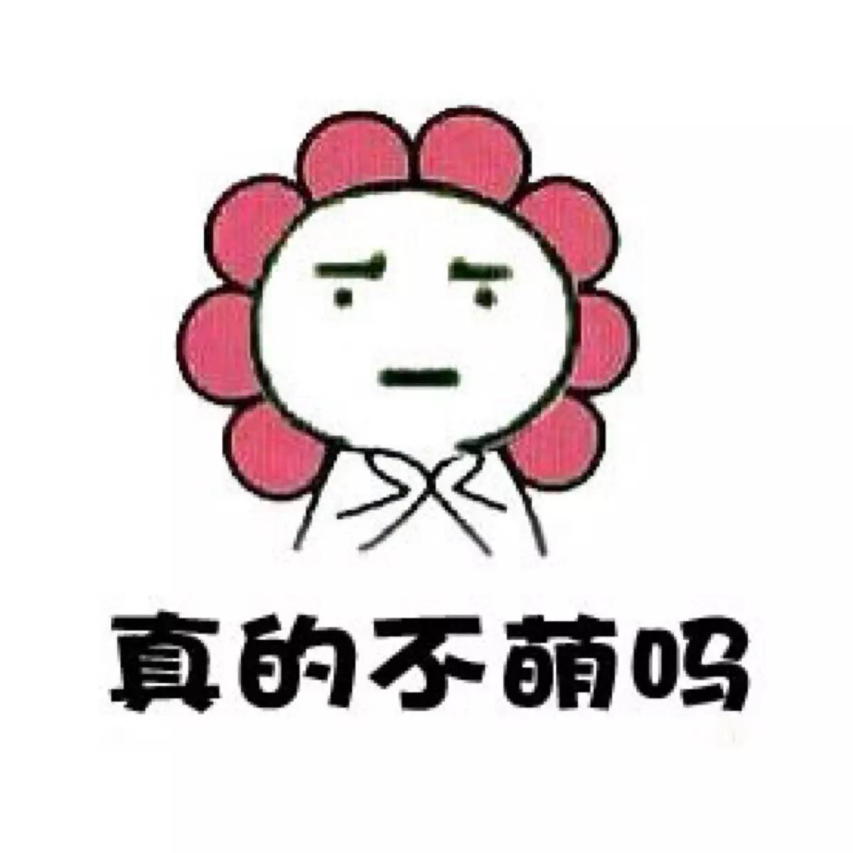 福建交通违章去哪里交罚单,福建交通违法罚款怎么交