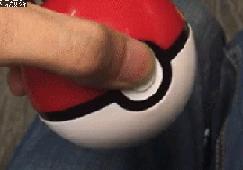 什么萌物好养又干净又便宜,萌物推荐