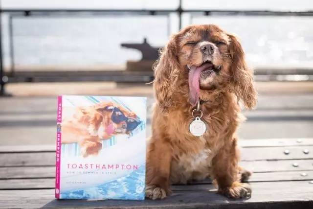 想要成为网红,想要成为网红需要什么条件