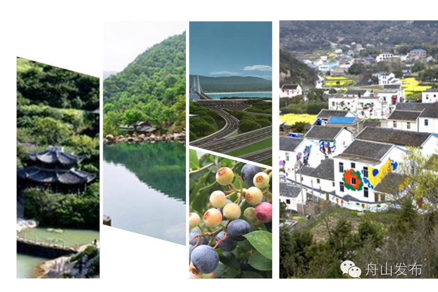 年轻人为什么要去杭州,舟山生活感受