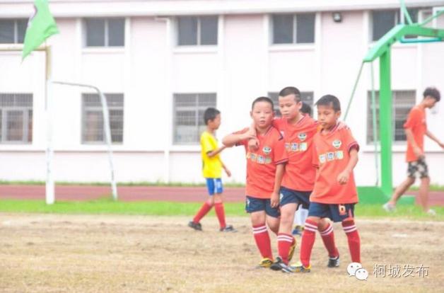 不得了!柯城这群绿荫小将拿了全省冠军!