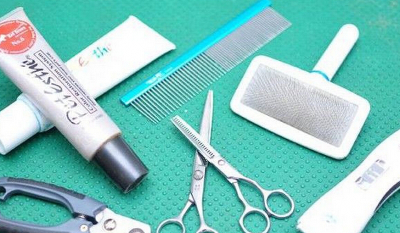 为了省钱自己给狗剪毛搞笑,给宠物狗剪毛它不听话怎么办