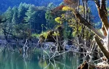 霸王级美景来袭，都在国内不去太可惜啦！