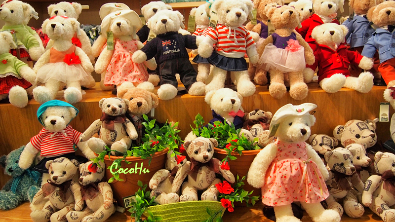 济州济州请留下一万个熊抱！