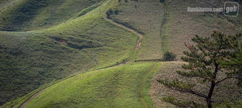深夜课堂完整视频,深夜课堂免费阅读