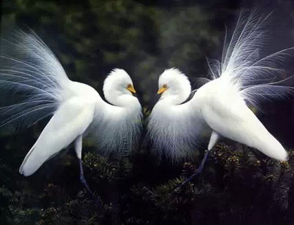 南昌宜居吗,南昌宜居指数