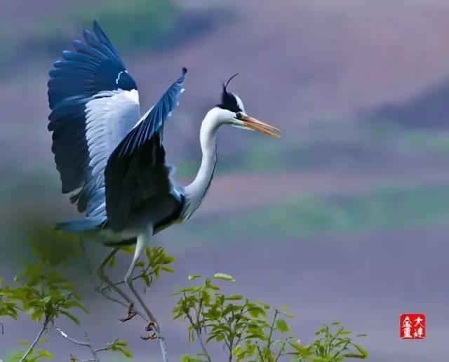 辽宁景点门票,辽宁省景点大全一览表
