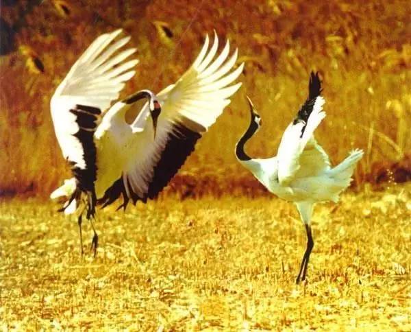 辽宁景点门票,辽宁省景点大全一览表