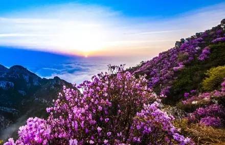 辽宁景点门票,辽宁省景点大全一览表