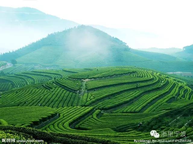 宁波再次领跑全国被世界瞩目,宁波拿了几枚金牌