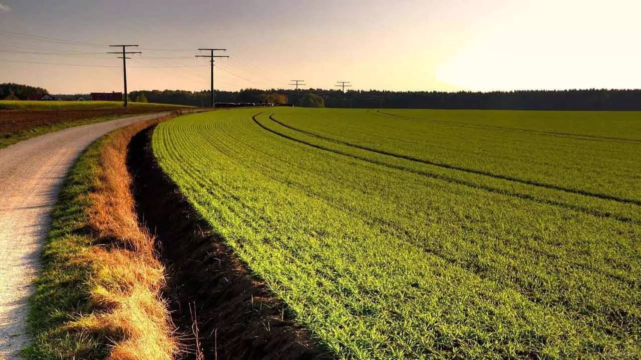 路线丨去丹麦乐高,和孩子一起造一栋大楼