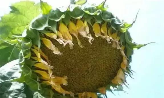 牡丹江人有福吗,牡丹江人生活好吗