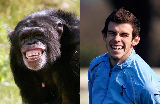 动物也疯狂蚂蚁大战,动物也疯狂双人