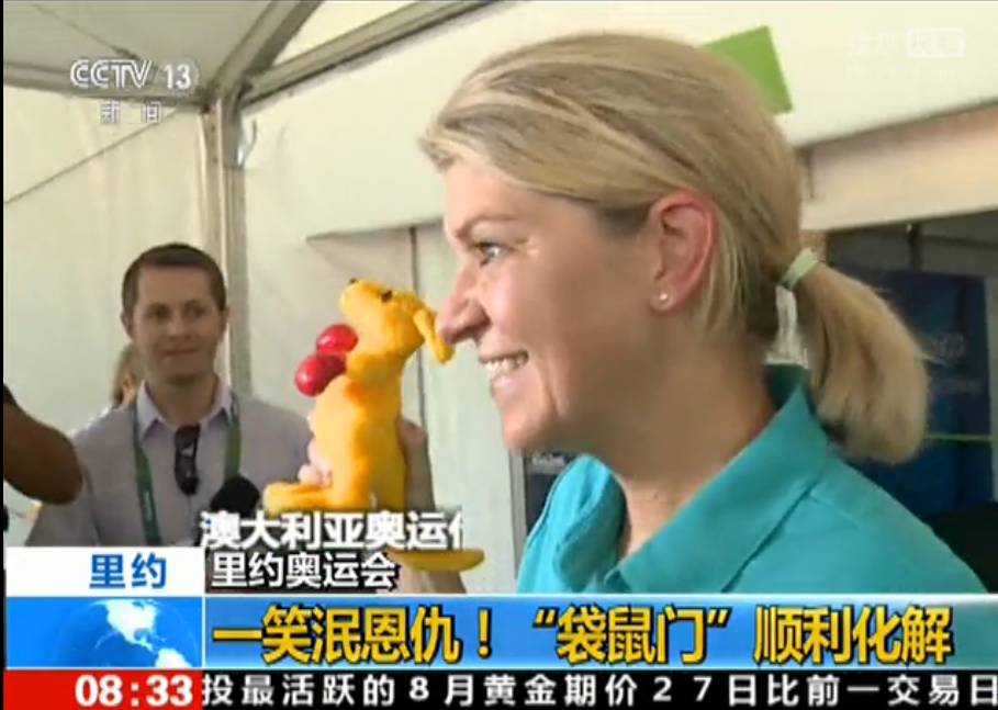 本届巴西奥组委：谁能帮我海淘只熊猫？