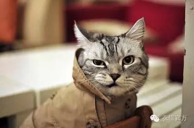 如何成为一个成功的内衣店经营者,新手如何经营一家内衣店