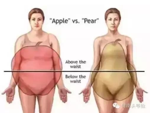 内脏脂肪走高是各种病症导火线！你内脂高了吗？