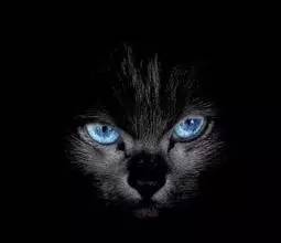 你相信努力奋斗会越来越好吗,你相信努力是会有回报的