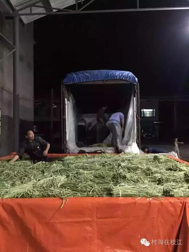 一个农村80后女孩的创业,80后农村女性创业故事