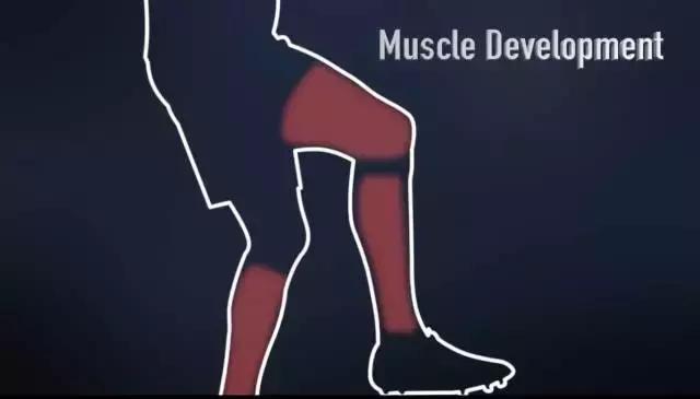 颠球颠得又低又稳,颠球颠好能说明什么