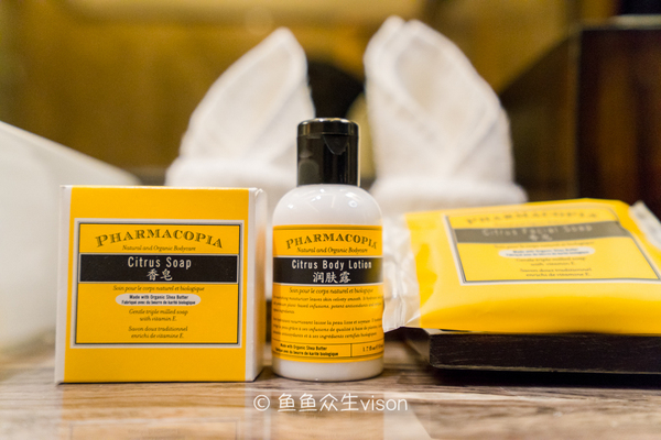 这里曾经也是繁华都市,古朴优雅充满禅意的私家园林