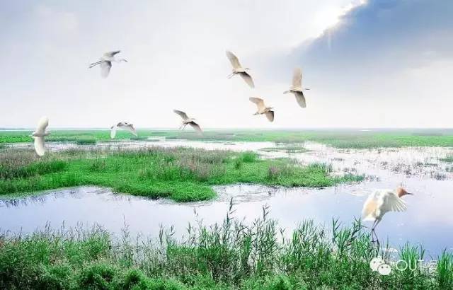 江苏穷富城市排名,江苏人均gdp最富的是哪个市