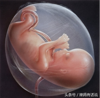 孕33周胎膜早破早产胎儿的成活率,孕妈妈早产会有哪些迹象