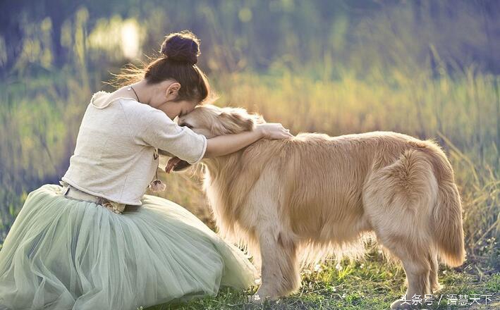 七夕节和单身狗有什么关系,七夕节和单身狗有关吗