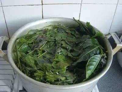 初为人母的幸福,初为人母余生伴你健康成长