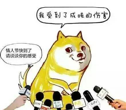 怎么过七夕才显得寂寞,七夕怎么过才不会一成不变