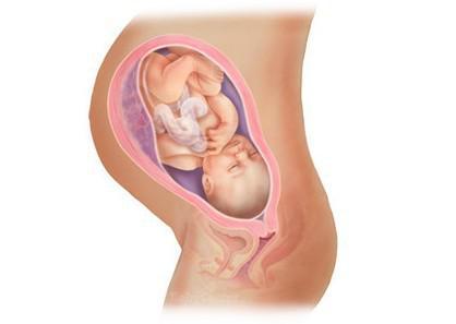 惊奇宝宝第一季,怀孕过程中的十大惊奇发现