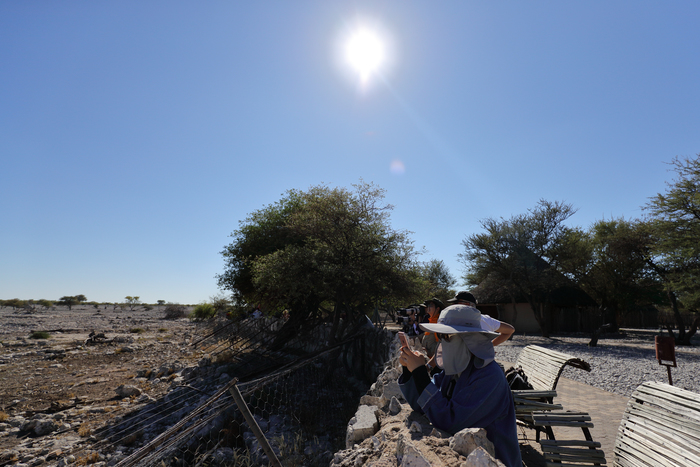 猎豹奔跑壮观,猎豹狂奔