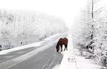 为什么开县成为开州区,重庆开县改为开州了吗