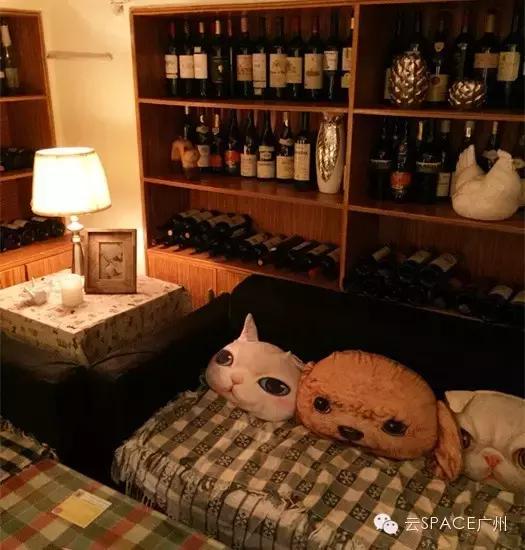 喵星人咖啡厅，治愈你疲惫的心！