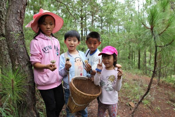 云南红河哈尼族彝族自治州美食,云南红河哈尼族彝族自治州小吃